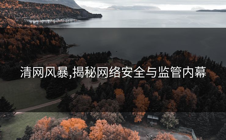 清网风暴,揭秘网络安全与监管内幕