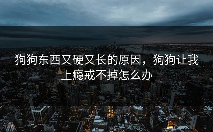 狗狗东西又硬又长的原因,狗狗让我上瘾戒不掉怎么办 狗狗东西又硬又长的原因,狗狗让我上瘾戒不掉怎么办