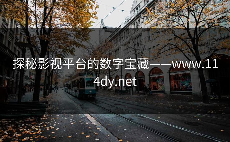 探秘影视平台的数字宝藏——www.114dy.net