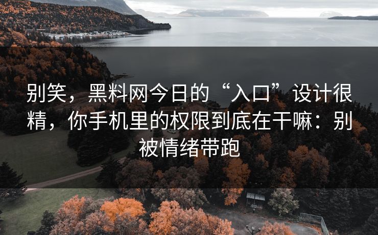 别笑，黑料网今日的“入口”设计很精，你手机里的权限到底在干嘛：别被情绪带跑